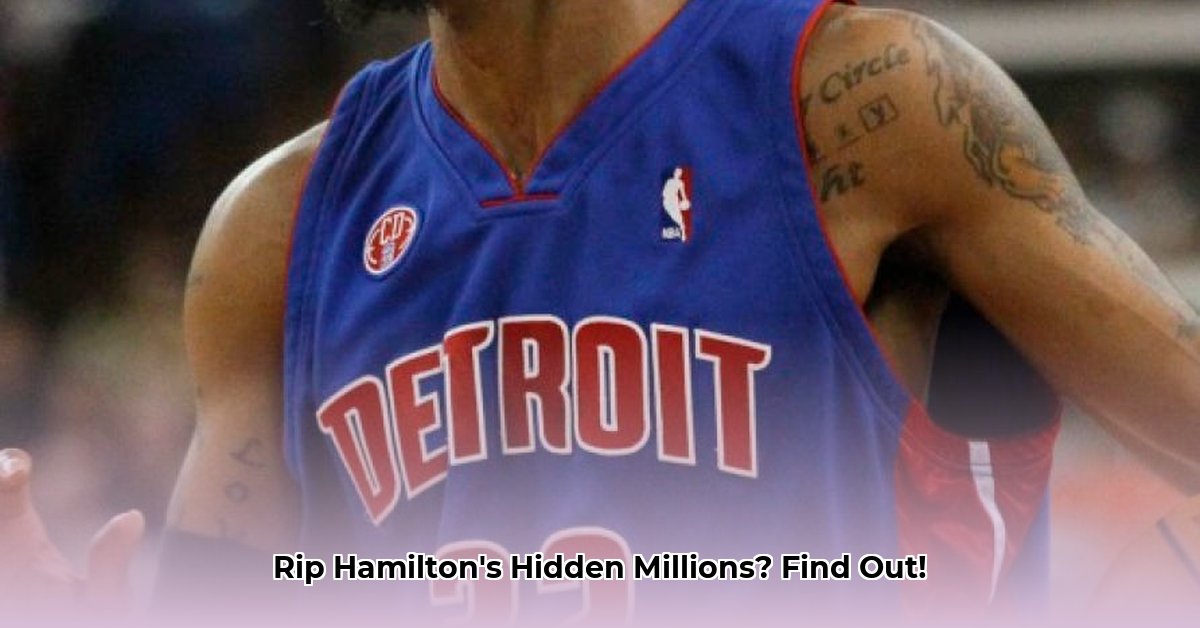 rip-hamilton-net-worth